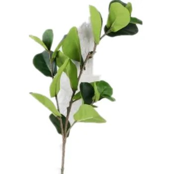 4pcs Netikrą Ficus lyrata Lapų Šakos Modeliavimas Žalia Ficus lyrata Lapų Medžių Stiebų Žaluma, Dekoratyvinis Dirbtinis Žaliųjų Augalų