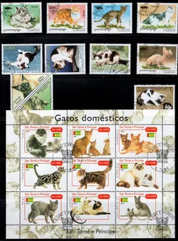 50Pcs/Daug Cat Kitten Antspaudas Tema Visi Skirtingi Iš įvairių Šalių, NE Kartoti Pašto ženklai su Pašto Ženklu Filatelijos