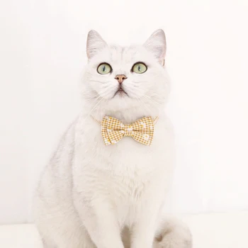 Daisy Pledas Modelis Kačių Antkaklis Reguliuojamas Bowknot Kačiukas Peteliškę Lovey Mažylis Karoliai Dekoro Priedai Augintiniai