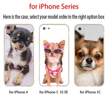 Minkštas silikoninis Telefono dėklas Skirtas iPhone 12 11 Pro 7 8 6 6s Plius XR XS Max dangos Mini 5 5S SE 2020 Funda Etui Atvejais Čihuahua Šunų