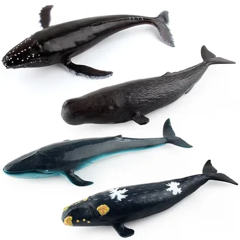 Modeliavimo Jūrų Gyvūnų Modelį galima Skalbti Banginis Žudikas Banginių Spermos Banginių Vandenyno Gyvūnų Veiksmų Minkšta Guma, Vaikų Žaislai, Papuošalai