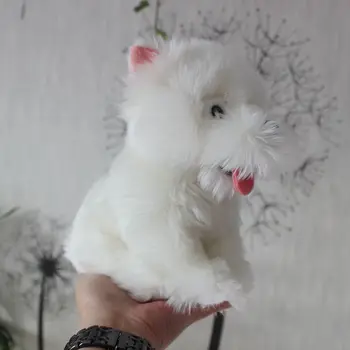 Vaikų žaislai, minkšti kimštiniai gyvūnai, lėlės realiame gyvenime pliušinis Baltųjų terjerų šunų mielas pateikti žaislų parduotuvėse