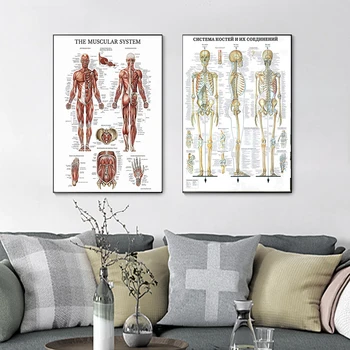 Žmogaus Anatomija Sienos Meno Plakatas Spausdinimo Skeleto Raumenų Medicinos studijų, Drobė, Tapyba HD Spausdinti Šiuolaikinių Namų Puošybai Nuotraukas